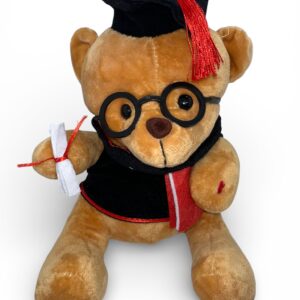 Graduation Teddy Bear