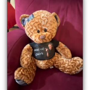 [Addon] - Custom T-Shirt for Plush Toys